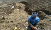 Landmine explosion kills seven children in Afghanistan